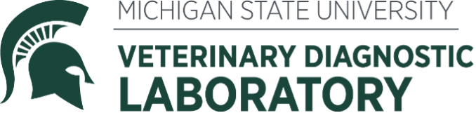 MSU VDL